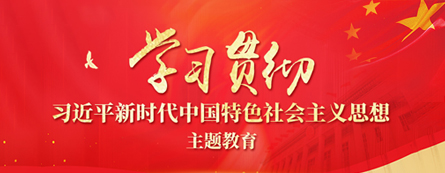 学习贯彻习近平新时代中国特色社会主义思想主题教育