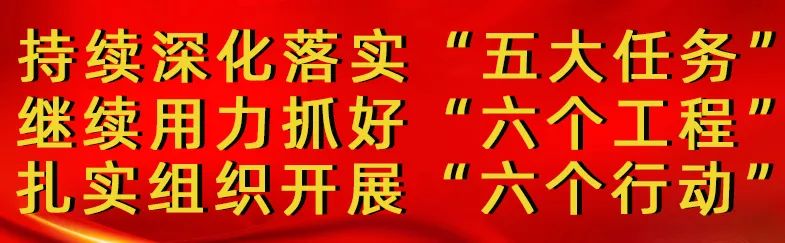 “小个专”出招，乌达包菜滞销变“热销”！